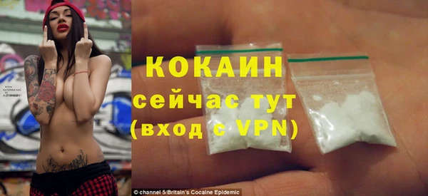шишки Вяземский