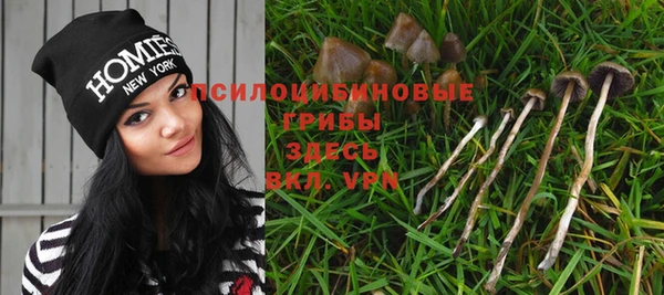 шишки Вяземский