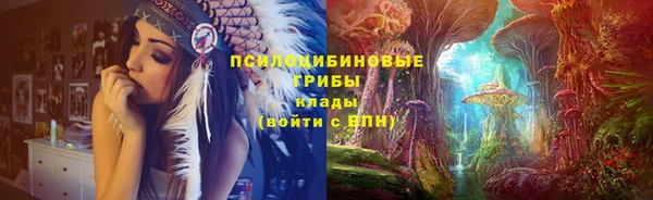 СК Вязники