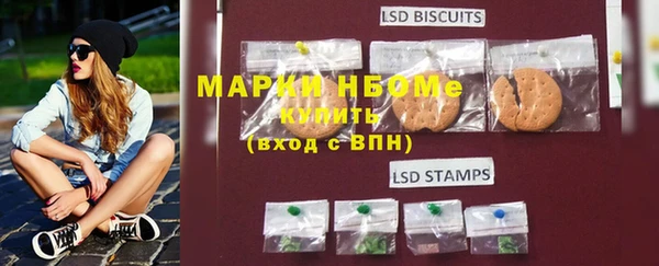 шишки Вяземский
